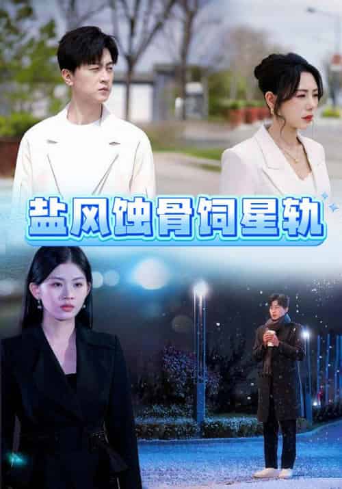 盐风蚀骨饲星轨（60集全）王鹏-初遇资源网