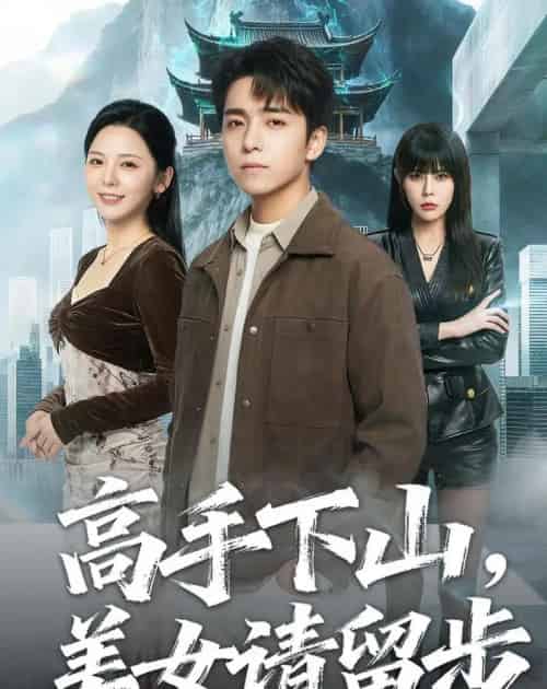 高手下山,美女请留步(80集全)金大钟&李图图-初遇资源网