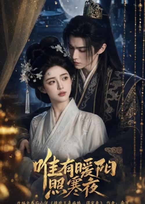 唯有暖阳照寒夜(101集全)AI-初遇资源网