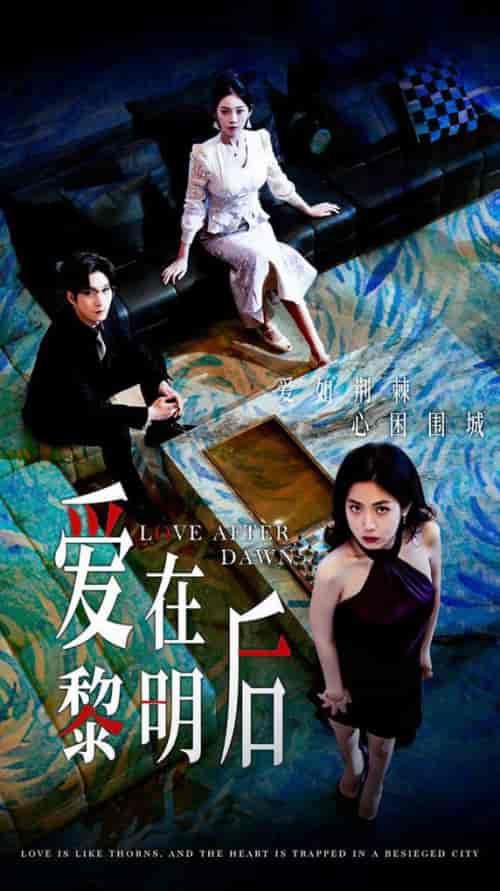 爱在黎明后（40集全）-初遇资源网