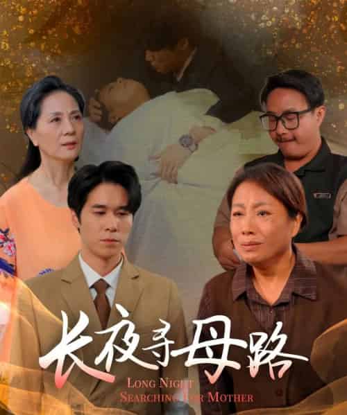长夜寻母路 长夜寻母路
