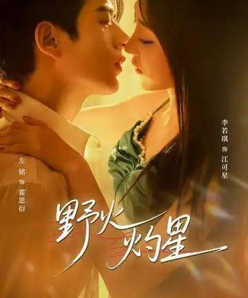 野火灼星（56集全）左铭＆李若琪-初遇资源网