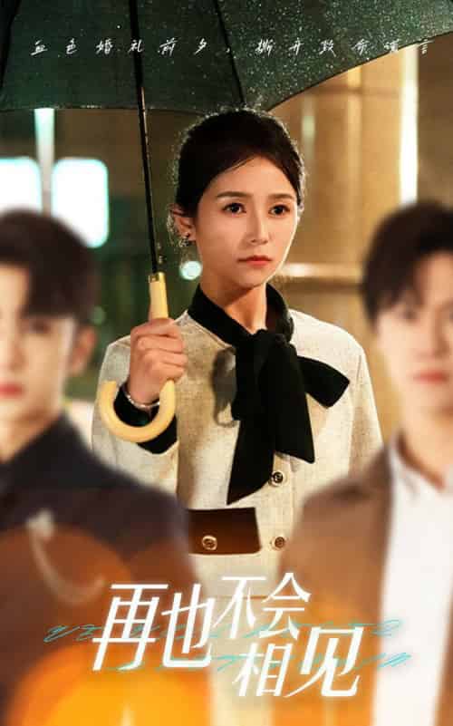 再也不会相见（33集全）严雯丽＆谢柏燊-初遇资源网