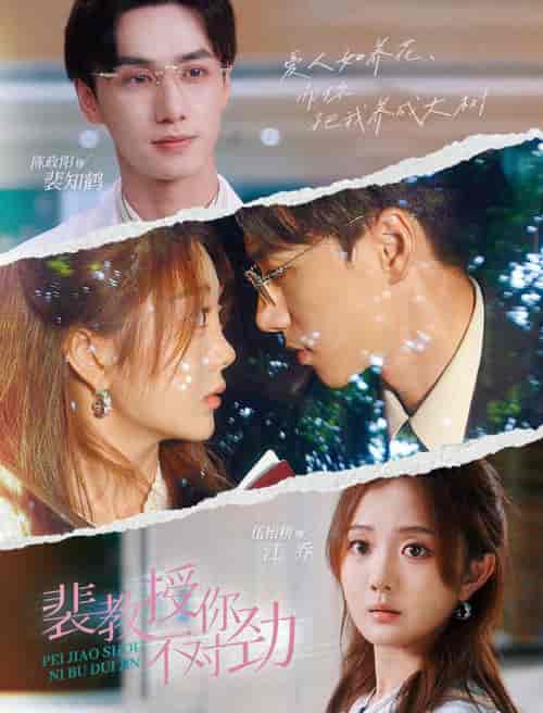 裴教授你不对劲（93集全）-初遇资源网