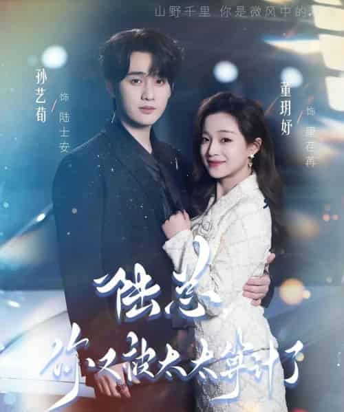 陆总,你又被太太算计了(70集全)董玥妤&孙艺荀-初遇资源网