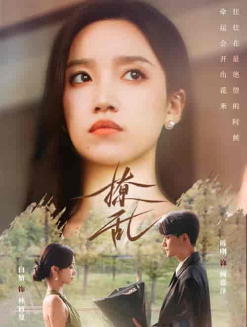 撩乱(65集全)陈刚&白妍-初遇资源网