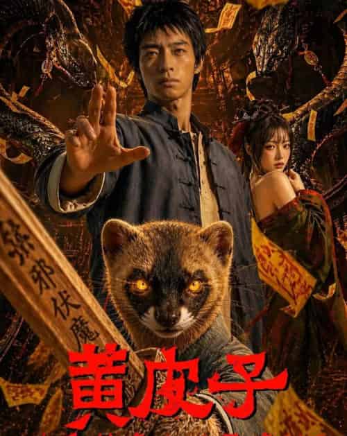 黄皮子你看我像人还是像神AI真人版（65集全）-初遇资源网