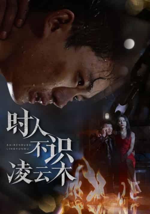 时人不识凌云木（51集全）魏如龙＆汤文馨-初遇资源网