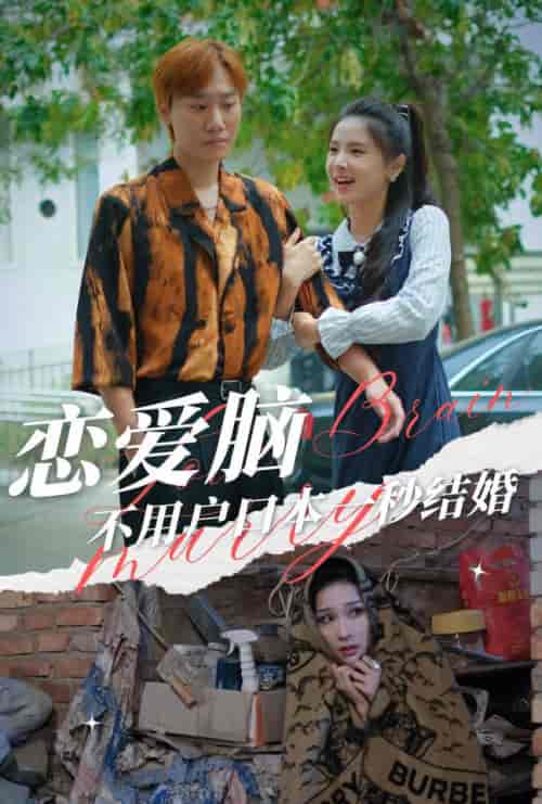 恋爱脑不用户口本一秒结婚（30集全）-初遇资源网