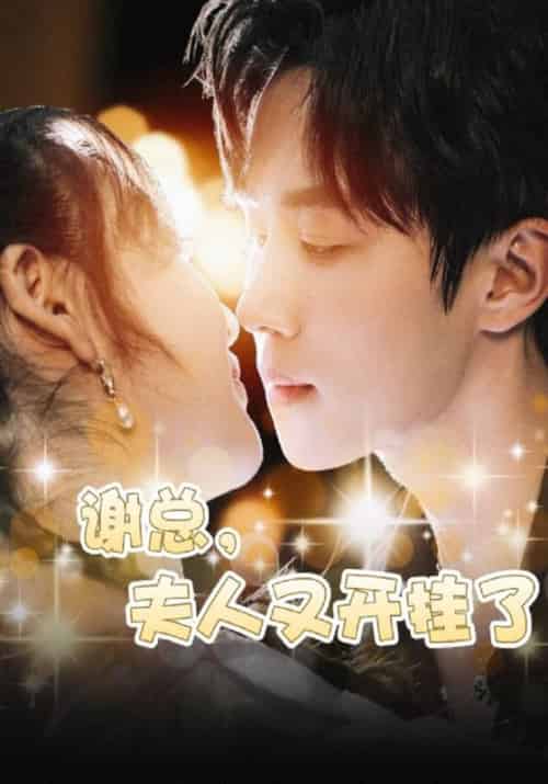 谢总，夫人又开挂了（61集全）谢庭川＆白凝-初遇资源网