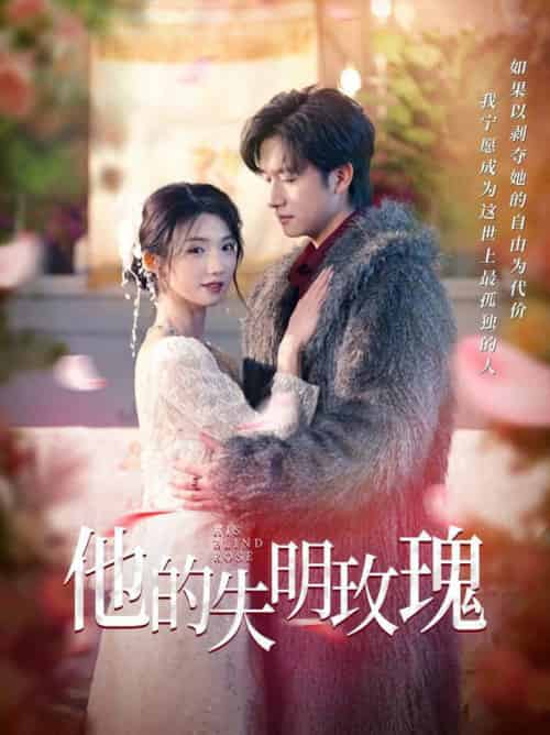 他的失明玫瑰（70集全）王彬茗＆陈明-初遇资源网
