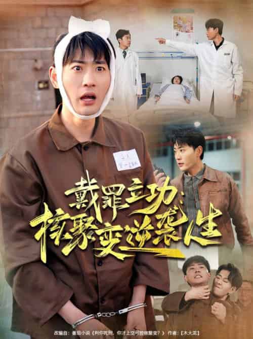 戴罪立功核聚变逆袭人生（100集全）姜悦＆宣以豪-初遇资源网