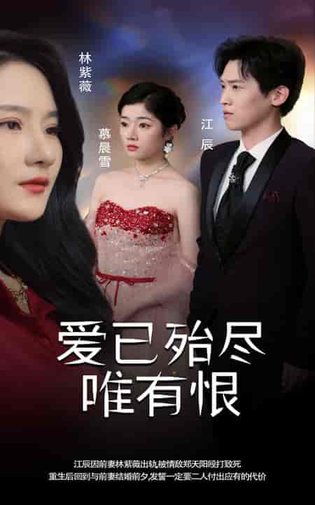 爱已殆尽唯有恨(61集全)-初遇资源网