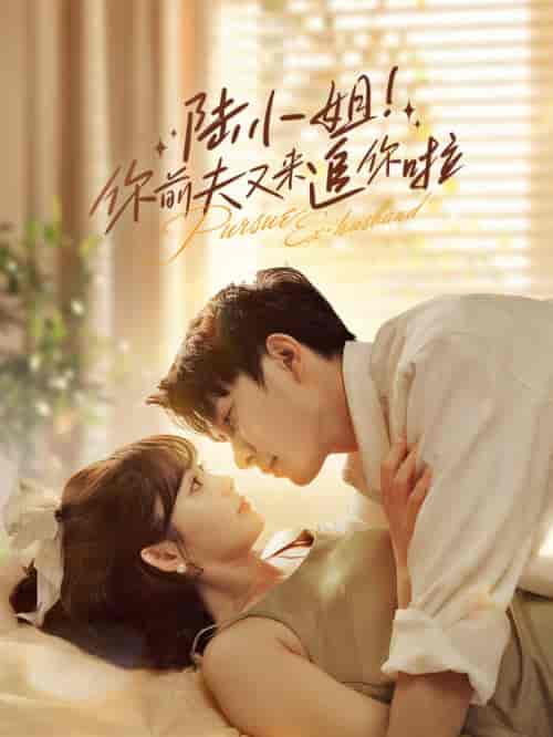 陆小姐！你前夫又来追你啦（67集全）-初遇资源网