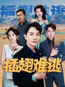 插翅难逃（43集）-初遇资源网