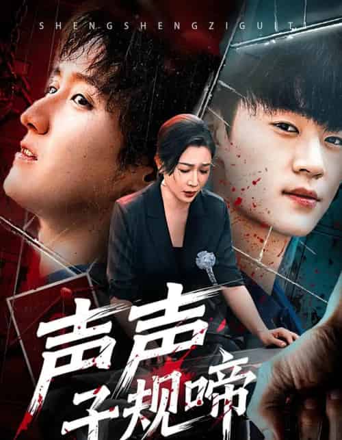 声声子规啼（64集全）寇腾文＆杨晓彤-初遇资源网