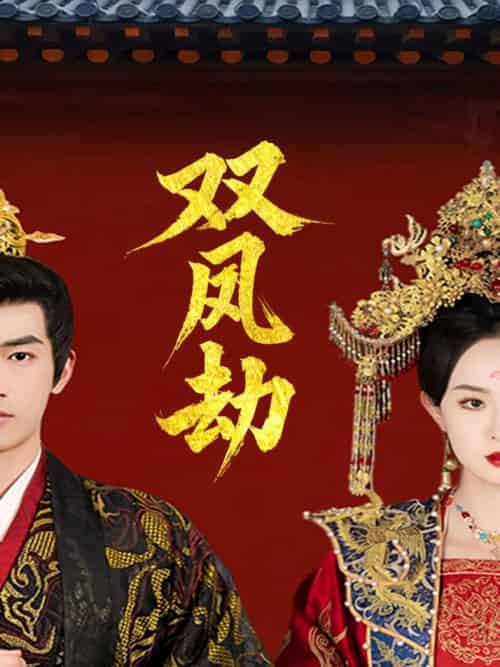 双凤劫＆将军骨美人谋（91集全）禹星臣＆张艺霖-初遇资源网