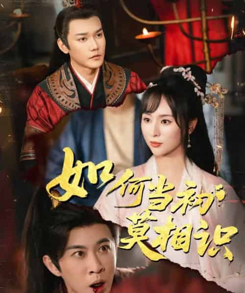 如何当初莫相识(60集)颜铭利&陶思源-初遇资源网