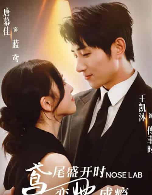 鸢尾盛开时恋她成瘾（20集）王凯沐＆唐幕佳-初遇资源网