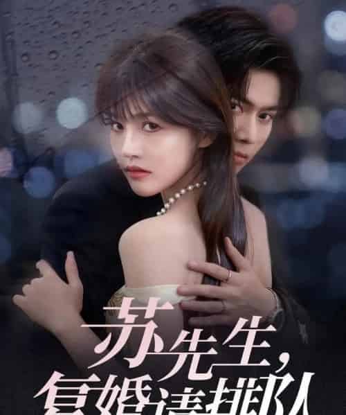 苏先生,复婚请排队(70集全)李沐阳&曹千祎-初遇资源网