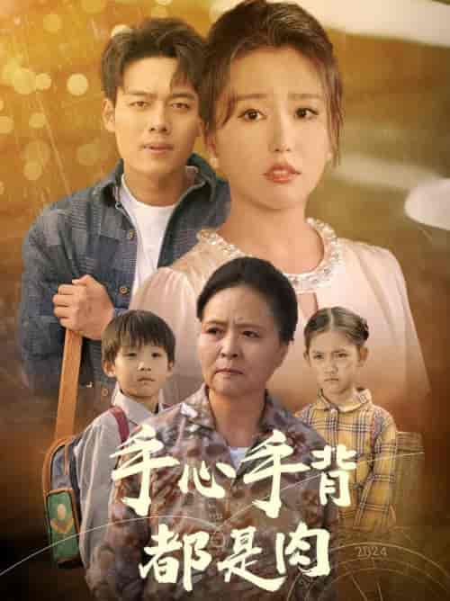 手心手背都是肉（80集全）-初遇资源网