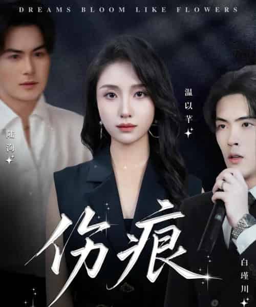 伤痕（60集）杨屿骁＆龙玥霖-初遇资源网