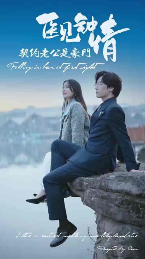 医见钟情契约老公是豪门（100集）-初遇资源网