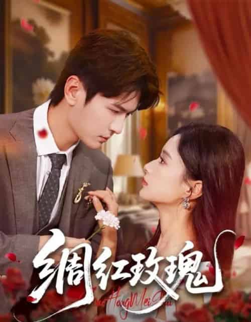 绸红玫瑰（86集全）杨皓然＆王宇婧-初遇资源网