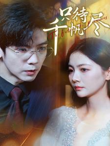 只待千帆尽（40集全）-初遇资源网