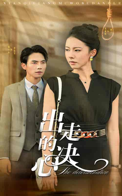 出走的决心（29集全）-初遇资源网