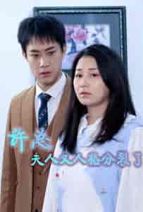 许总，夫人又人格分裂了（85集）-初遇资源网