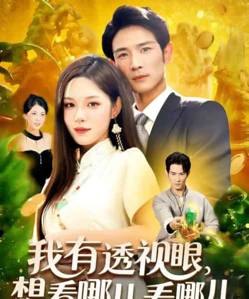 我有透视眼想看哪儿看哪儿(100集全)朱佳琪&何俊雄-初遇资源网