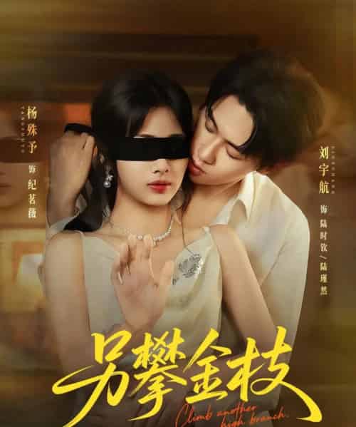 另攀金枝（60集）刘宇航＆杨殊予-初遇资源网