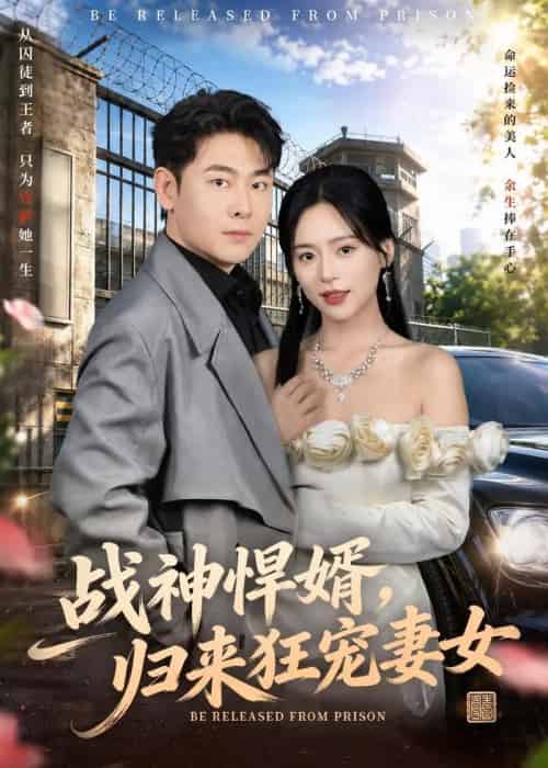 战神悍婿,归来狂宠妻女(83集全)李政宇&江十安-初遇资源网