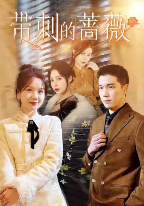 带刺的蔷薇（50集全）-初遇资源网