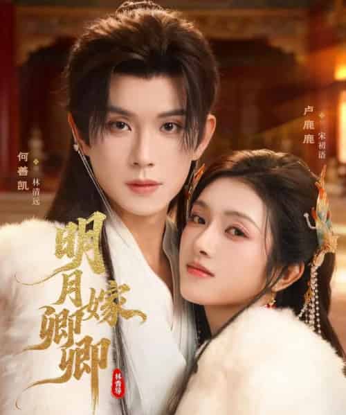 明月嫁卿卿(82集全)何善凯&卢鹿鹿-初遇资源网
