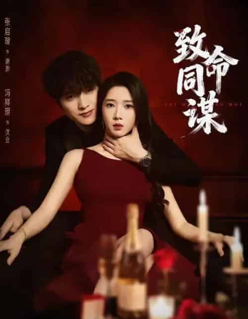 致命同谋（63集全）冯祥琨＆张启旋-初遇资源网