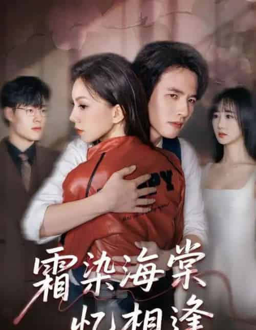 霜染海棠忆相逢（72集全）庄逸涵＆张天宇-初遇资源网