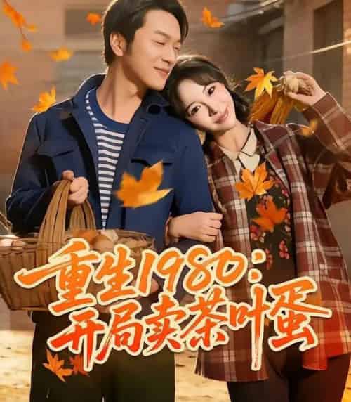 重生1980：开局卖茶叶蛋（80集全）王雅清＆胥宁轲-初遇资源网
