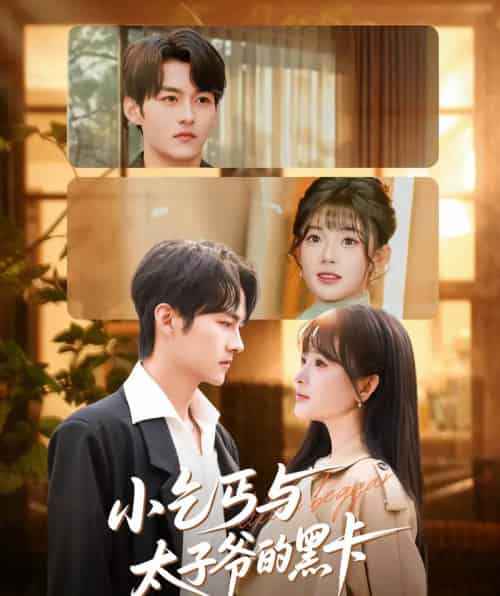 小乞丐与太子爷的黑卡(60集全)臧晓嘉(嘉言)&远雨艾-初遇资源网