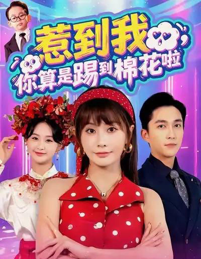 惹到我,你算是踢到棉花啦(67集全)陈楚洹&娄宇瑶-初遇资源网