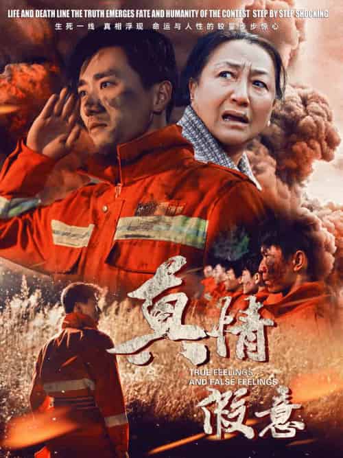 真情假意（62集）-初遇资源网