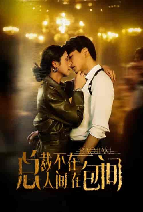 总裁不在人间在包间（75集）卢c鹿鹿-初遇资源网