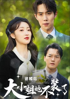 退婚后大小姐她不装了（37集全）-初遇资源网