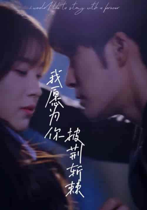 我愿为你披荆斩棘(88集)-初遇资源网