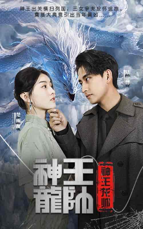 神王龙帅（87集）-初遇资源网