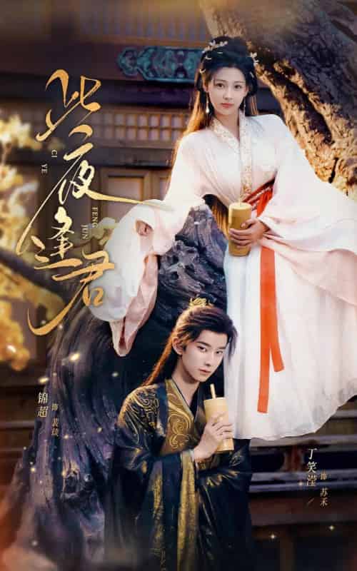 此夜逢君（76集全）锦超＆丁笑滢-初遇资源网