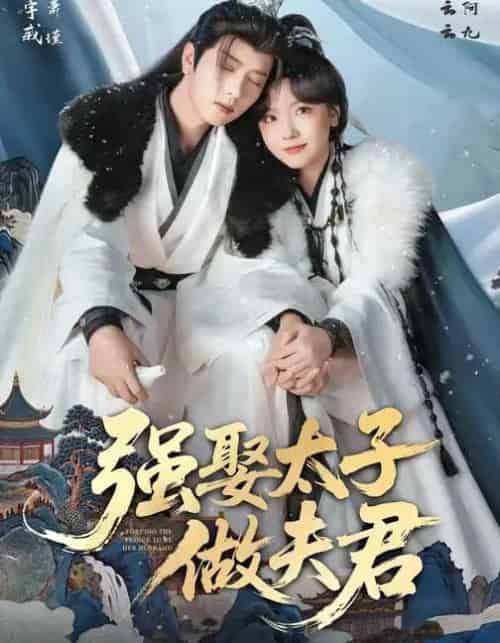 强娶太子做夫君（67集全）王宇威＆王云云-初遇资源网