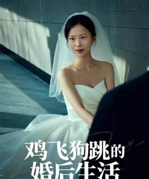 鸡飞狗跳的婚后生活（28集）杨静静-初遇资源网