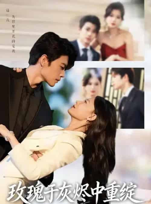 玫瑰于灰烬中重绽 （65集全） 刘宸羽＆毕雪-初遇资源网